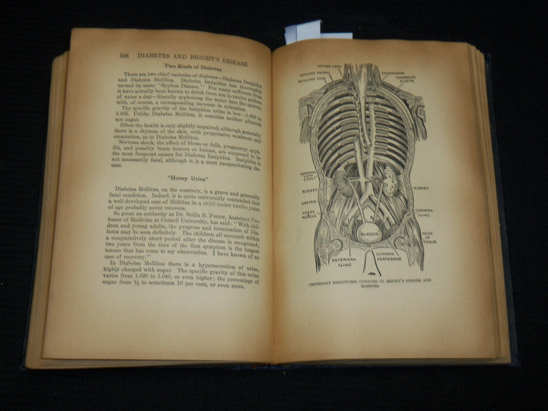 1938 EUGENICS AND SEX HARMONY HARDCOVER BOOK BY HERMAN RUBIN - KD 7522