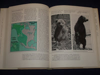 1987 LIFE IN THE BALANCE BOOK BY DAVID RAINS WALLACE - GREAT PHOTOS - KD 2698