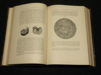 1894-1904 ARCHIV FUR LARYNGOLOGIE UND RHINOLOGIE GERMAN VOLUMES LOT OF 13 - KD 9
