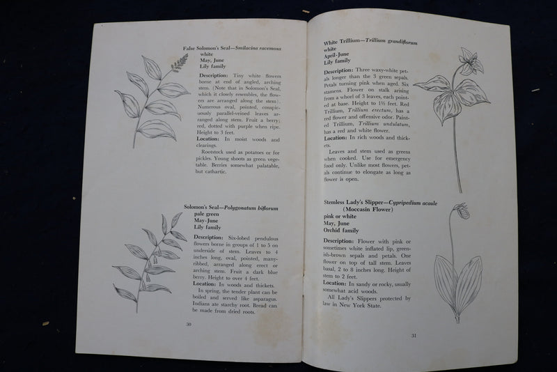 1965 COMMON WILD FLOWERS OF NEW YORK STATE SOFTCOVER BOOK - K 996