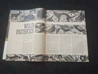 1964 APRIL BOYS' LIFE MAGAZINE - NICE ILLUSTRATED COVER - ST 3770W