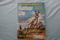 1971 SEPTEMBER OUTDOOR LIFE MAGAZINE - AN ILLUSTRATED HUNTER COVER - E 26680