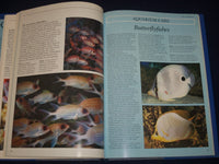 1990 CORAL REEFS HARDCOVER BOOK BY LES HOLLIDAY - NICE PHOTOS - KD 2776