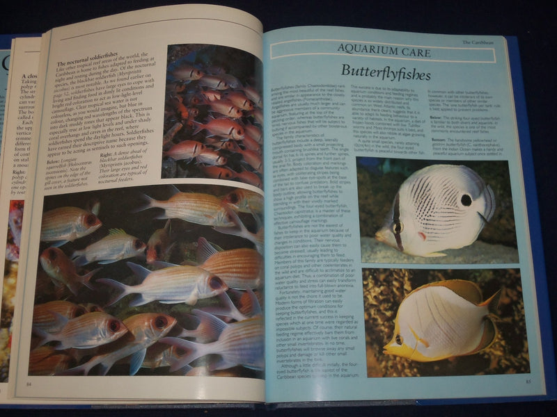 1990 CORAL REEFS HARDCOVER BOOK BY LES HOLLIDAY - NICE PHOTOS - KD 2776