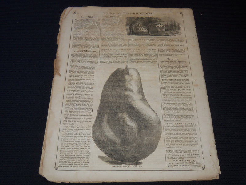 1857 MAY 2 LIFE ILLUSTRATED NEWSPAPER - TURKISK LADIES CUSTOMS - NP 5931