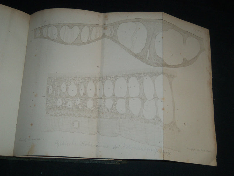 1864-1876 ARCHIV FUR OPHTHALMOLOGIE BOUND VOLUME LOT OF 11 - GERMAN - R 953