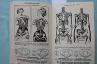 1950'S ANATOMICAL SEX ATLAS SOFTCOVER BOOK BY DAVID KELLER, M.D. - K 3427