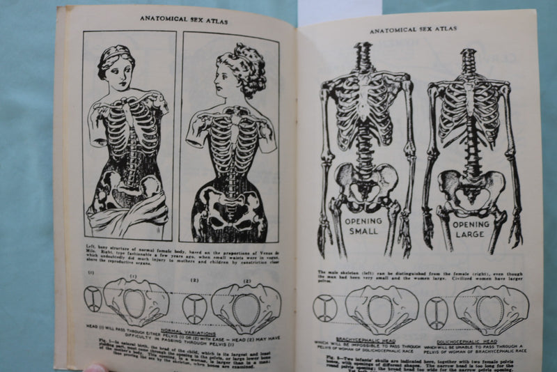 1950'S ANATOMICAL SEX ATLAS SOFTCOVER BOOK BY DAVID KELLER, M.D. - K 3427