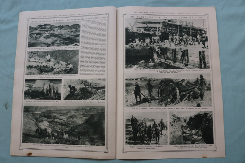 1915 JULY 8 NEW YORK TIMES MID-WEEK PICTORIAL - KAISER WITH HIS AIDE - NP 9144