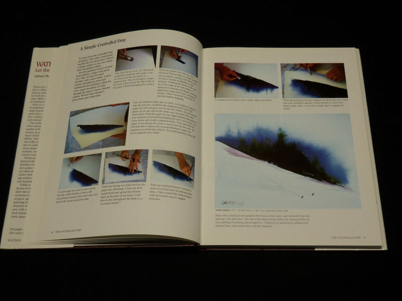 1988 WATERCOLOR LET THE MEDIUM DO IT BOOK BY VALFRED THELIN & BURLIN - I 1940
