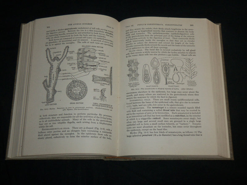 1943 GENERAL ZOOLOGY HARDCOVER BOOK BY TRACY I. STORER - KD 6989