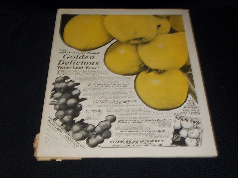 1918 DECEMBER 7 THE COUNTRY GENTLEMAN MAGAZINE ILLUSTRATED COVER ART - E 2870