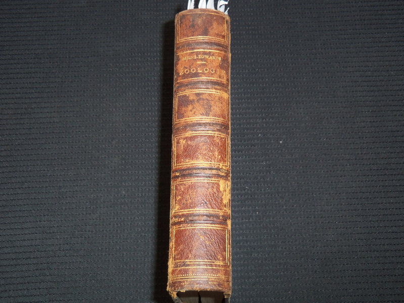 1850 COURS ELEMENTAIRE D'HISTOIRE NATURELLE FRENCH VOLUME - KD 7713
