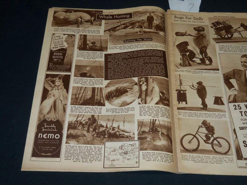 1938 OCT 23 THE PITTSBURGH PRESS SUNDAY ROTO SECTION - ANNA NEAGLE - NP 4554