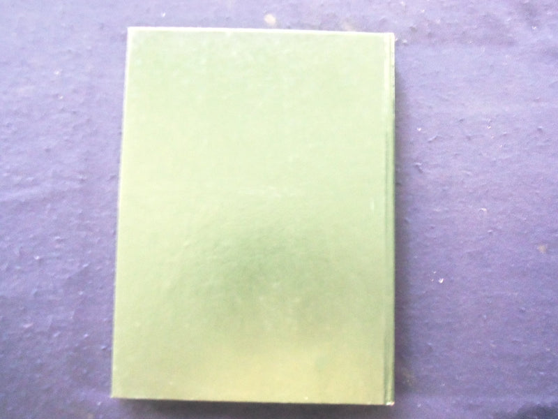 1981 LAKES MOUNTAIN LAKES HIGH SCHOOL YEARBOOK - MOUNTAIN LAKES, NJ - YB 1926U