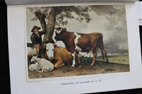 1953 MAURITSHUIS THE HAGUE ILLUSTRATED GUIDE SOFTCOVER BOOK - K 2218