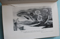 1929 FISHING FOR SALMON HARDCOVER BOOK BY CYRIL D. MARSON - KD 9694