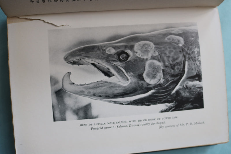 1929 FISHING FOR SALMON HARDCOVER BOOK BY CYRIL D. MARSON - KD 9694