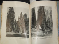 1909 JUNE THE CHAUTAUQUAN MAGAZINE - CONSERVATION NUMBER - K 2652