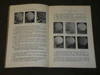 1928-1929 ELMER D. SMITH & CO. CHRYSANTHEMUMS FLORISTS' CATALOG LOT OF 3- O 1608