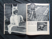 1938 JUNE 13 LIFE MAGAZINE - GERTRUDE LAWRENCE- L 82