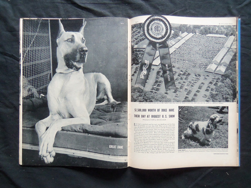 1938 JUNE 13 LIFE MAGAZINE - GERTRUDE LAWRENCE- L 82
