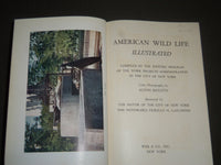 1940 AMERICAN WILD LIFE ILLUSTRATED PHOTOGRAPH BY AUSTIN BAYLITTS BOOK - KD 4233