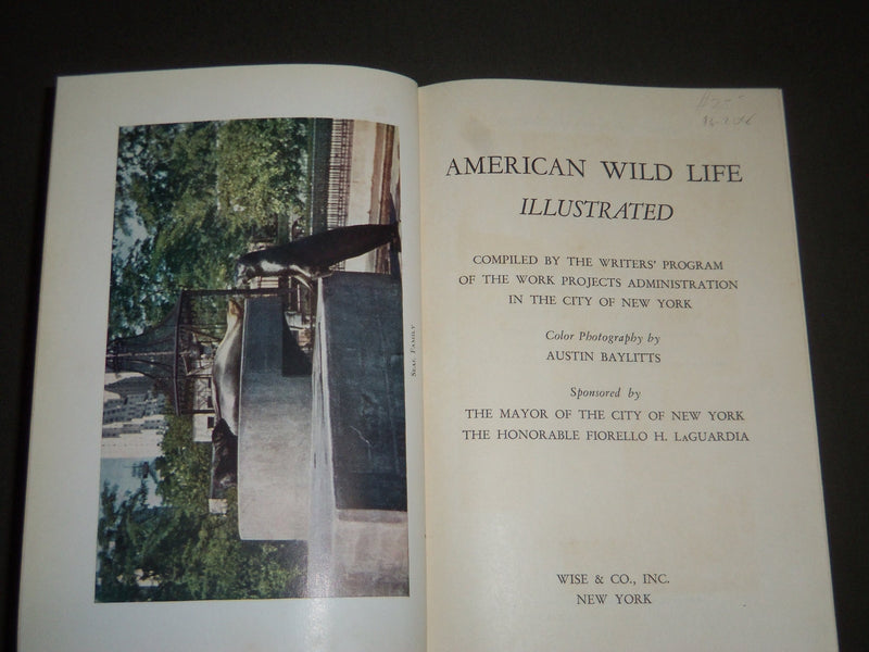 1940 AMERICAN WILD LIFE ILLUSTRATED PHOTOGRAPH BY AUSTIN BAYLITTS BOOK - KD 4233