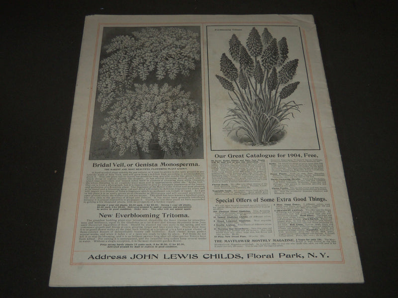 1904 FEBRUARY 13 THE SATURDAY EVENING POST MAGAZINE - ILLUSTRATED COVER - SP 452