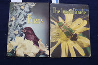 1950'S BIRDS & INSECT PARADE SOFTCOVER BOOKS BY BERTHA PARKER - LOT OF 2- K 1376