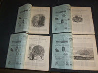 1876 APPLETON'S JOURNAL MAGAZINE -LOT OF 26 - NICE ADS & ILLUSTRATIONS - WR 634B