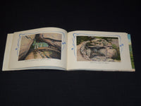 1930's ROCK CITY GARDENS LOOKOUT MOUNTAIN VIEW BOOK- TENNESSEE - J 7909