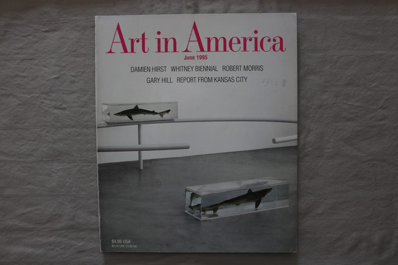 1995 JUNE ART IN AMERICA MAGAZINE - FORMS IN ENDLESS MOTION COVER - E 26768