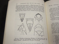 1923 GUIDE TO THE INSECTS OF CONNECTICUT BULLETIN NO. 34 - NICE ILLUS. - KD 988