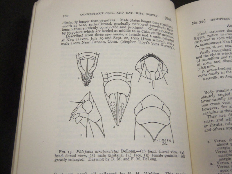 1923 GUIDE TO THE INSECTS OF CONNECTICUT BULLETIN NO. 34 - NICE ILLUS. - KD 988