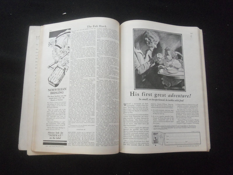 1928 JULY GOOD HOUSEKEEPING MAGAZINE - JESSIE WILCOX SMITH COVER - ST 4282O