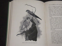 1899 THE STORY OF THE BIRDS BY JAMES NEWTON BASKETT BOOK - KD 5779