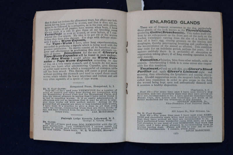 1917 DISEASES OF THE DOG AND HOW TO FEED SOFTCOVER BOOK - K 1330