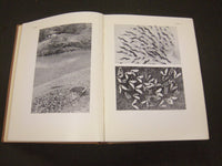 1937 A GLIMPSE OF JAPANESE IDEALS BY JIRO HARADA - NICE PLATES - KD 60