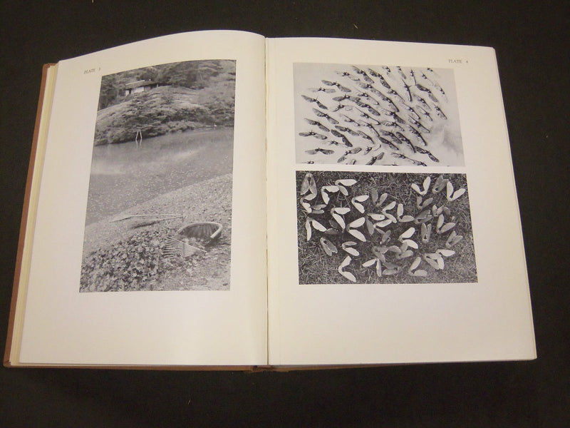 1937 A GLIMPSE OF JAPANESE IDEALS BY JIRO HARADA - NICE PLATES - KD 60
