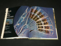 1974 THE SPORTSMAN'S WILDERNESS HARDCOVER BOOK - GREAT PHOTOS - I 1918