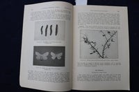 1935 INSECT PESTS OF ELMS IN CONNECTICUT SOFTCOVER BOOK - K 1413
