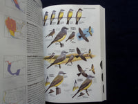 2001-2011 BIRDS OF NORTH AMERICA GUIDE BOOKS - LOT OF 3 - KD 8874