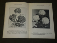 1928-1929 ELMER D. SMITH & CO. CHRYSANTHEMUMS FLORISTS' CATALOG LOT OF 3- O 1608