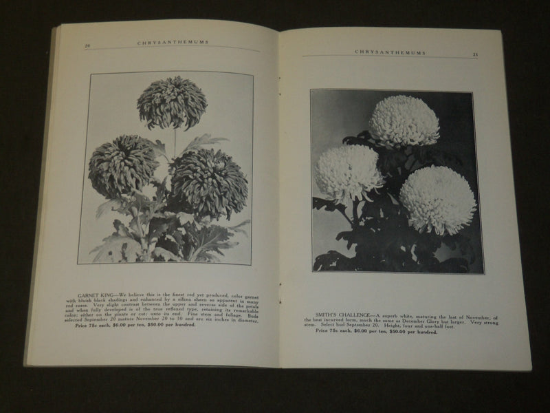 1928-1929 ELMER D. SMITH & CO. CHRYSANTHEMUMS FLORISTS' CATALOG LOT OF 3- O 1608
