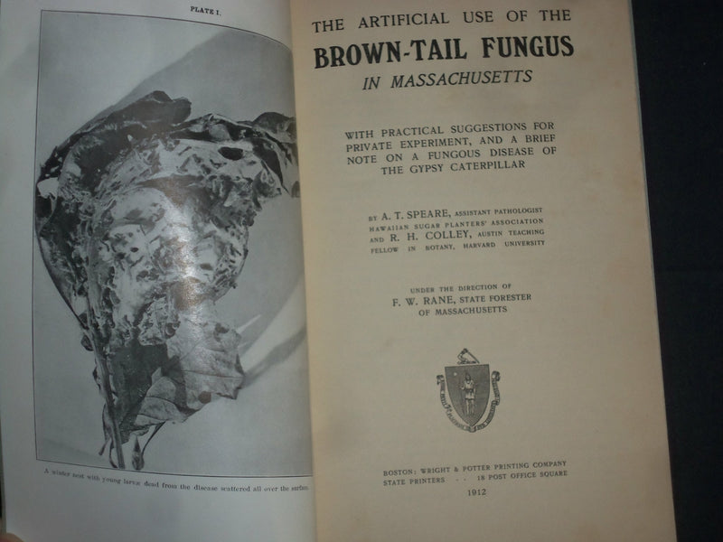 1912 THE ARTIFICIAL USE OF THE BROWN-TAIL FUNGUS OF MASSACHUSETTS- PLATES-J 4385