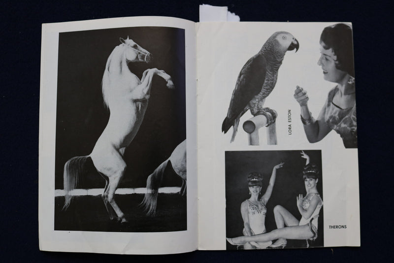1966 CIRKUS SCHUMANN SOFTCOVER PROGRAM - DUTCH TEXT - K 602