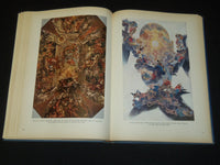 1952 ITALIAN PAINTING FROM CARAVAGGIO TO MODIGLIANI BOOK -ALBERT SKIRA - I 1757