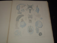 1877-1903 KONGLIGA SVENSKA SWEDISH VETENSKAPSAKADEMIENS VOLUMES LOT OF 8