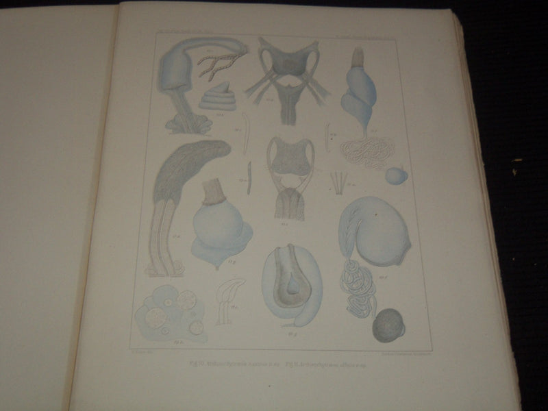 1877-1903 KONGLIGA SVENSKA SWEDISH VETENSKAPSAKADEMIENS VOLUMES LOT OF 8